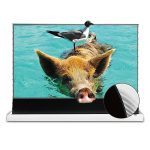VIVIDSTORM S PRO Motorised Floor Rising UST Laser Projector Screen - تصویر 4